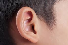 Image result for images Opening Our Ears to Hear