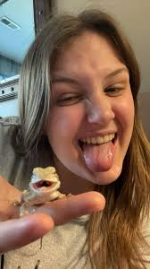 Anyone close to Menomonie wi...rehoming a dragon