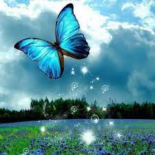 Kent Kristensen Kentkristensen0 Butterfly Wallpaper Butterfly Live Aquarium Live Wallpaper