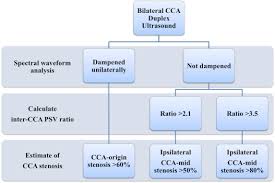 common carotid artery peak systolic velocity ratio predicts