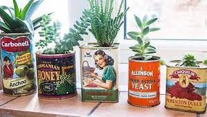 Jungle cacti jungle cacti include those species in genera such as acanthocereus, disocactus indoor plants should have less variation in watering needs. Organic Gardening Ant Control Organicgardeningpdf Refferal 5609179007 Gardennursery Plants Succulents Garden Nursery