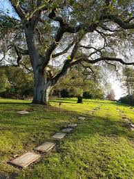 Mountain view cemetery (oakland california) photos. Mountain View Cemetery In Oakland California Find A Grave Cemetery