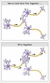 Mulai di sini: Evolusi belum mempersiapkan otak Anda untuk pornografi hari  ini - YBOP