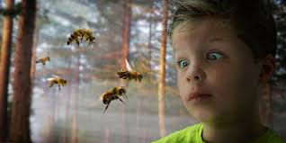 Child Stung by a Bee? 3 Steps to Take