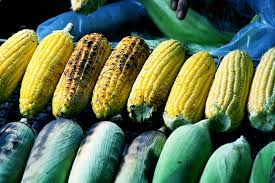 Harvest begins about 20 days after first silking. How To Grow Sweet Corn At Home Gardener S Path