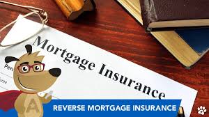 Your monthly payment includes your mortgage payment, consisting of principal and interest, as well as property taxes and homeowners insurance. Reverse Mortgage Insurance Explained 2021 Update