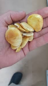 Image result for Telfairia pedata