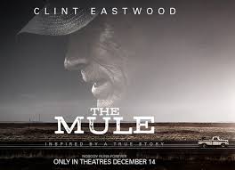 Use the thumbs up and thumbs down icons to agree or disagree that the title is similar to the mule. Blog Contains Moderate Peril