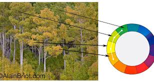 Triadic color schemes tend to be quite vibrant. Color Harmonies 3 Analogous And Triadic Luminous Landscape