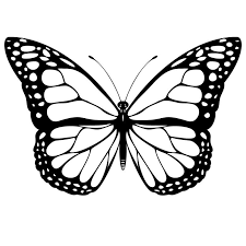 Mariposa Para Colorear Mariposas Para Colorear Dibujos De Mariposas Como Dibujar Mariposas