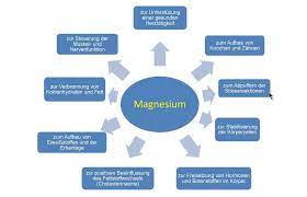 Magnesium Seine Enorme Bedeutung Fur Die Gesundheit