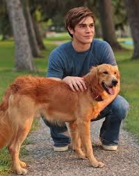 A Dog S Purpose Movie Review A Dogs Purpose A Dogs Purpose Movie Riverdale Archie