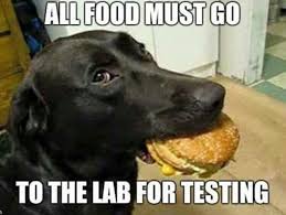 National puppy da is happening on march 23rd this year, and that means a day actually exists that celebrates one of the best animals on the face of when national puppy day is finally here, there's only one way to mark the occasion — and that's by sharing one of these hilarious puppy memes on. Mybet Page 7 Funny World