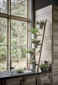 Satsumas Plant Stand With 5 Plant Pots Bamboo White Ikea In 2021 Kitchen Plants House Plants Decor Herbs Indoors