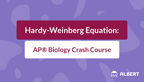 Q = frequency of the recessive allele in the population Hardy Weinberg Equation Ap Biology Crash Course