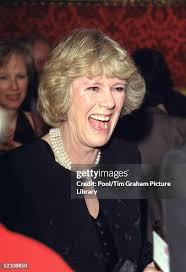 288 S Pearl St Stock Photos, High-Res Pictures, and Images