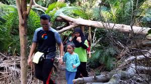 Jūs atėjote į šį puslapį, nes ji yra labiausiai tikėtina, ieško: Hiking At Peak Garden Setia Alam Youtube