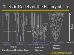 Is Ken Hams Rapid Post Flood Diversification Really
