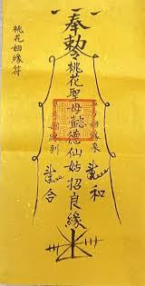 Image result for Triumfetta amuletum