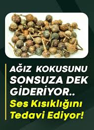 Ses Kisikligini Da Tedavi Ediyor Agiz Kokusu Saglik Dogal Saglik