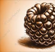 Blackberry Fruit Laser Engrave Image | Laser Burn PNG File | 3D Laser Ready  File | High Resolution Photo | 3D Illusion Graphics
