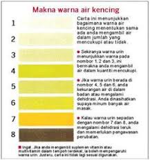 Air kencing mengandungi pigmen urochrome, ia memberikan warna kuning. Petua