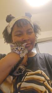 Why do cats have such flexible spines?