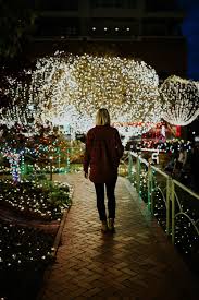 Maybe you would like to learn more about one of these? Kalamazoo And Portage Mi Christmas Lights Installation Seasonal Decorations And Winter Lights Hanging Professionals