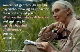 These Amazing Jane Goodall Quotes Will Inspire You To Fight For Animals And Nature Jane Goodall Quotes Nature Quotes Jane Goodall