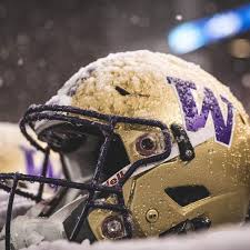 univerdity of washington huskies godawgs purplereign