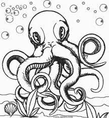 Maybe you would like to learn more about one of these? Pin On Octopus