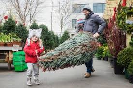Dec 11, 2020 · tips to make a christmas tree last longer wrap the tree for the trip home. 12 Simple Ways To Make Your Christmas Tree Last Longer Lovetoknow