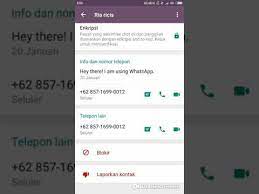 Video itu dipublikasikan pada 15 desember. Nomor Handphone Ria Ricis Cara Golden