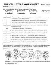 Check spelling or type a new query. Cell Cycle Worksheet Doc The Cell Cycle Worksheet Name Fill In The Blank Some Will Be Used More Than Once A Prophase B Interphase C Telophase D Course Hero