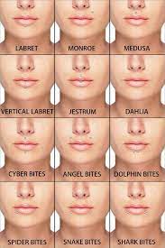 Piercing Lip Piercing Piercing Lip Piercing Different Lip Piercings Guys With Lip Piercings Lip Piercing Labret