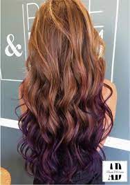 68 Ideas Hair Color Ideas For Brunettes For Summer Dip Dyed Brown Hair Dye Tips Purple Ombre Hair Brunette Hair Color