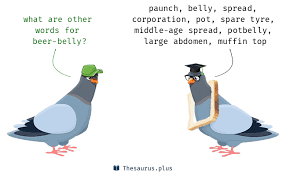 Words Beer-belly and Corporation are semantically related or have similar meaning