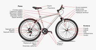 • if the bicycle has any parts that are not described in this manual, look for separate special instructions that are supplied with the bicycle. Parts Of A City Bike Hd Png Download Png Download Bicycle Diagram Transparent Png Transparent Png Image Pngitem