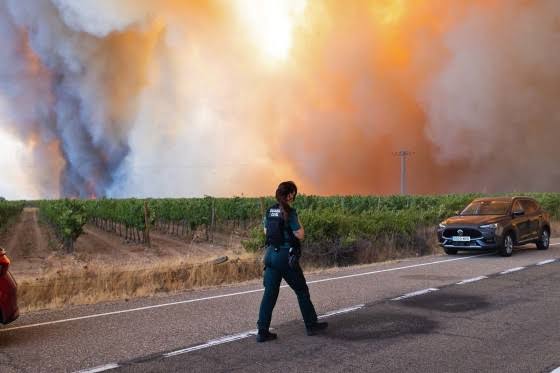Wildfires burn through over 600 square miles in France and Spain amid ongoing heatwave
