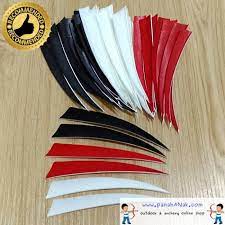 2 arrow/anak panah fletching bulu kalkun asli. Jual Fletching Bulu Kalkun Import Vanes Sayap Anak Panah 5 Inch Kota Tangerang Panahanak Tokopedia