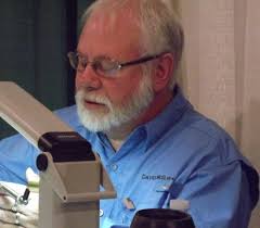 SaraBella Flies by David McElwain