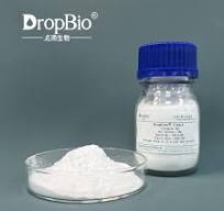 Wholesale Algae Red clover extract A mixture of Marine algae ...