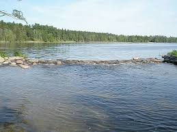 The Start Of The Mississippi River Off Of Lake Itasca In Minnesota Great River Life Is An Adventure The Water Is Wide