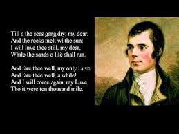 Robert Burns A Red Red Rose Poem With Text Robert Burns Robbie Burns Day Rose Poems