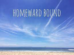 Tia on a public beach + surprise. Swimming Live The Life You Love