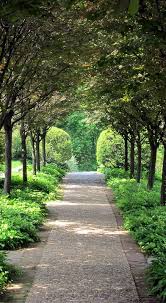 Dumbarton Path In 2020 Beautiful Gardens Landscape Design Dream Garden