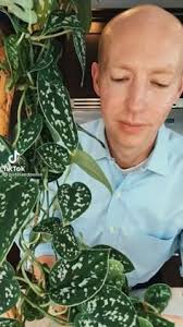 Joanne Robichaud (joanneladybug) — профиль