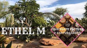 Save the high roller observation wheel tickets to your lists. Ethel M Chocolate Factory Cactus Garden Youtube