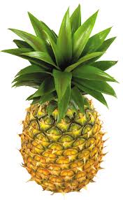 Pineapple Clip Art Free Clipart Images Pineapple 2 Pineapple Fruit Pineapple Fruit