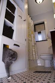 10 Ideas For Disguising Or Hiding A Litter Box Cat Litter Box Cat Box Litter Box